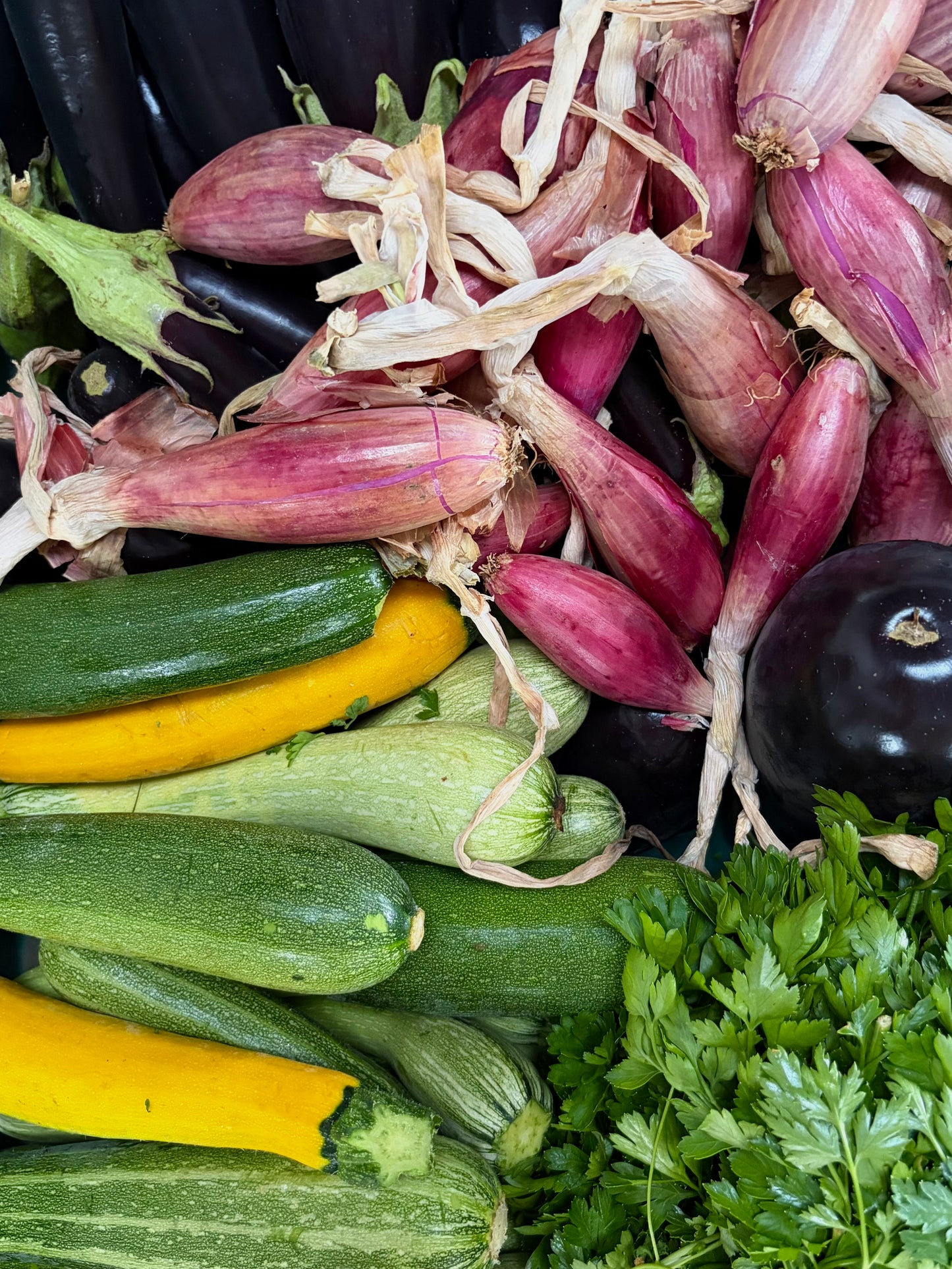 Gut Health Supper with Nikki Scrivener